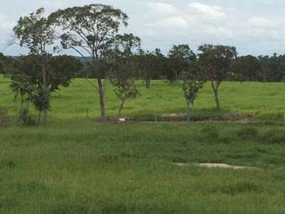 Justiça Estadual do Tocantins realiza, em Taguatinga (TO), leilão de fazenda com 770 hectares