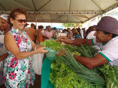 Ruraltins e parceiros organizam os preparativos para feira e encontro da agricultura familiar de Arraias