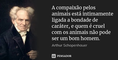 Vídeo do Dia: Cachorro desaparecido retorna para casa com outro cachorro e um… bode!