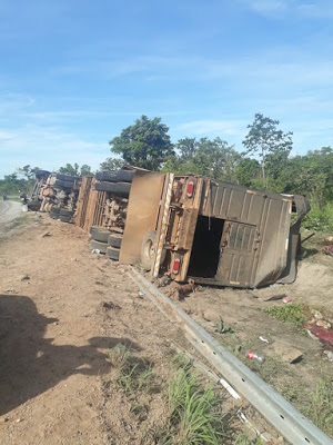 Carreta de bois tomba em Monte Alegre de Goiás, mata ajudante de motorista e quatro animais