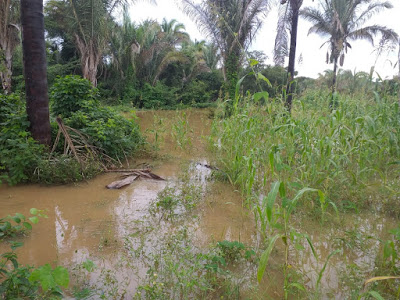 Em Campos Belos (GO), Rio Bezerra, Montes Claros e Manso transbordam e mostram suas forças