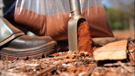 Embrapa desenvolve ‘exame de sangue da terra’ que promete revolucionar a análise de solo