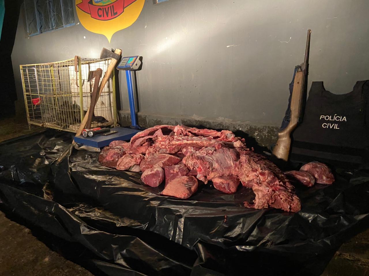 Polícia localiza ponto de abate clandestino de gado furtado