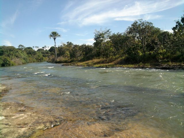 Em Santa Rita do Araguaia (GO), no Dia Mundial do Meio Ambiente, Caiado anuncia investimentos para o programa “Juntos pelo Araguaia”