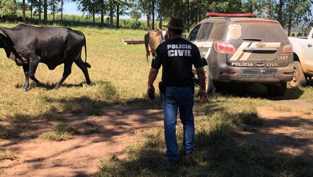 Governo diz cai em em 37% registros de roubos em propriedades rurais, em Goiás