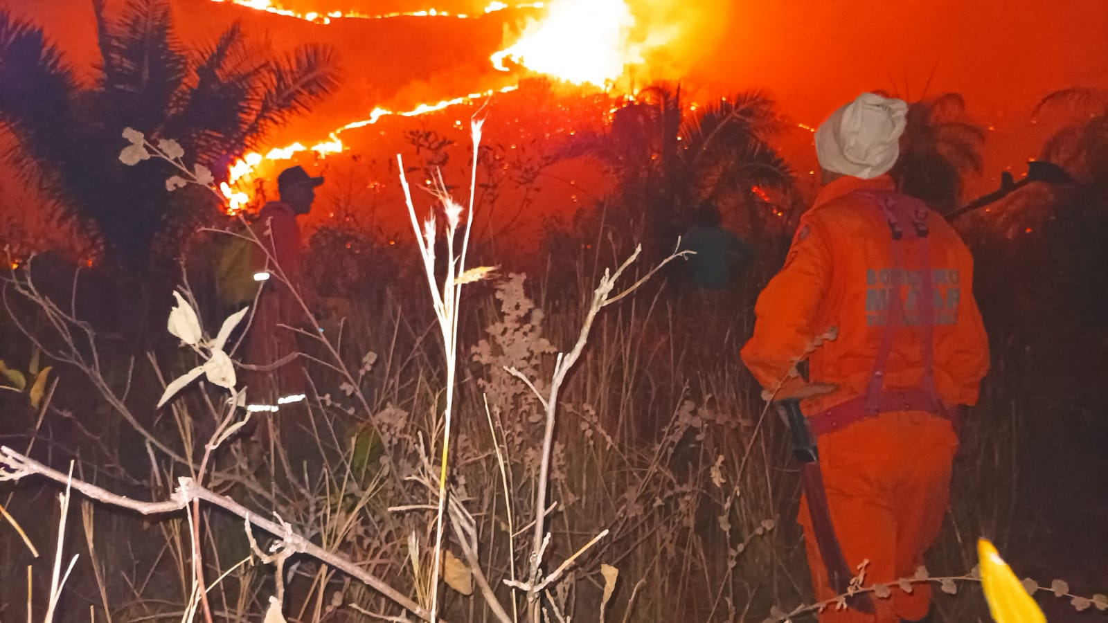 Paranã (TO): com atuação de bombeiros militares e brigadistas, incêndio florestal é controlado na Serra da Traíra