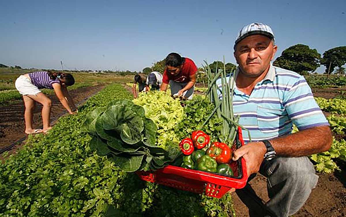 Governo Federal prepara novo cadastro nacional para registro de agricultores familiares