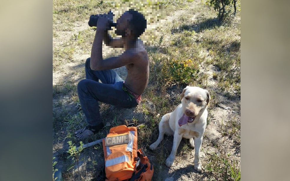 Homem que ficou cinco dias desaparecido foi encontrado por cão farejador, em São João D’Aliança (GO)