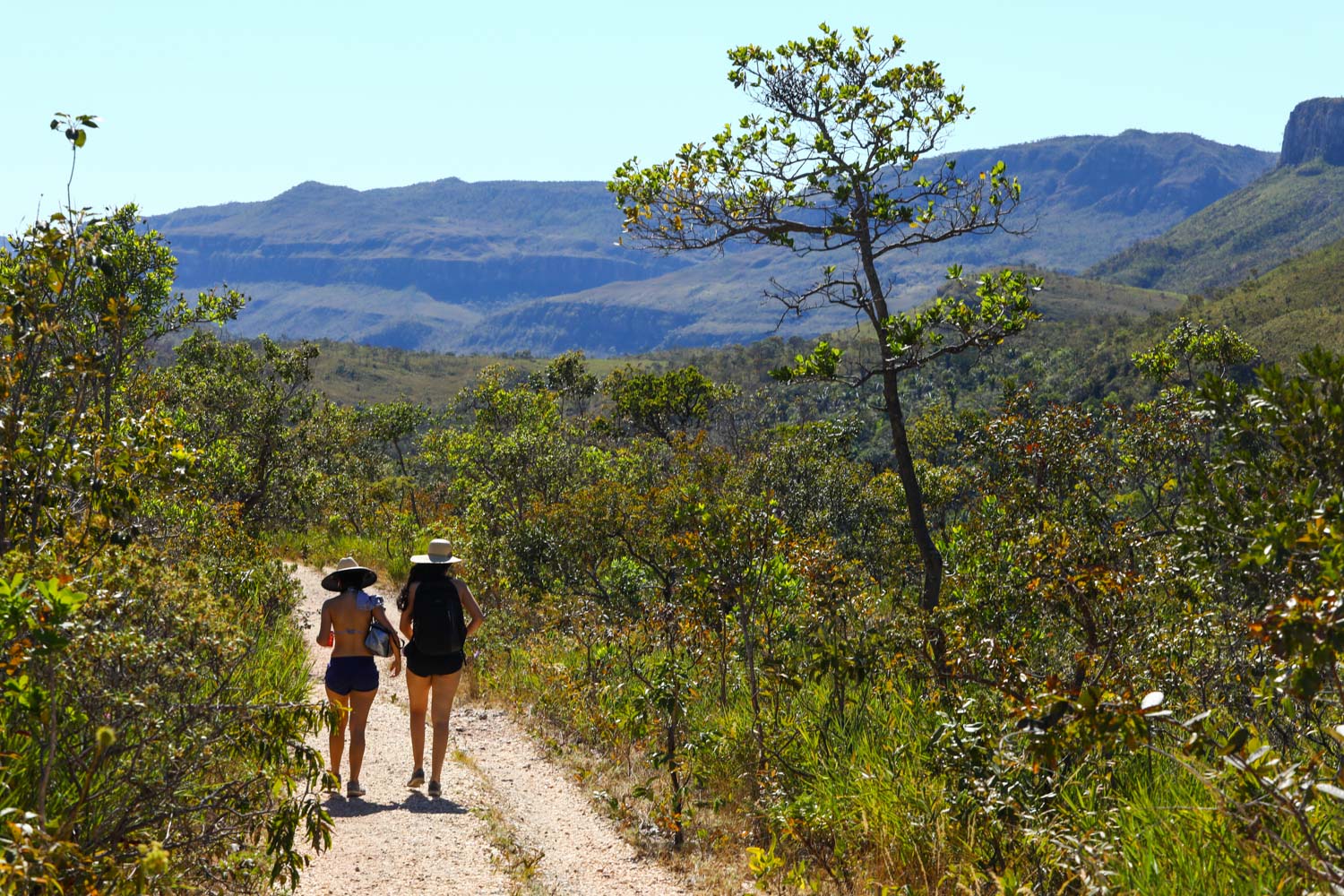 Na contramão, deputado delegado Waldir (PSL) propõe a redução da área do Parque Nacional da Chapada dos Veadeiros