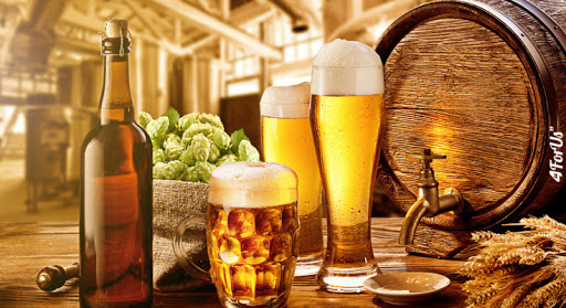 Mercado cervejeiro cresce no Brasil e aumenta interesse pela produção nacional de lúpulo e cevada
