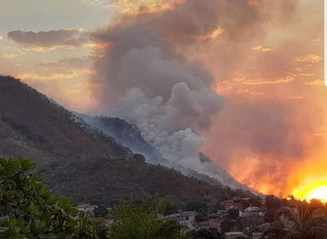 Incêndio de grandes proporções passa a noite queimando serra de Campos Belos (GO), destruindo a vegetação e matando milhares de bichos