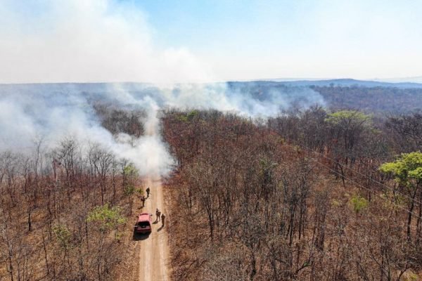 Pedido de socorro: fogo no Parque Terra Ronca consumiu área equivalente a 9 mil campos de futebol