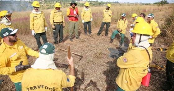 Senar lança minicursos para ensinar técnicas de prevenção ao fogo