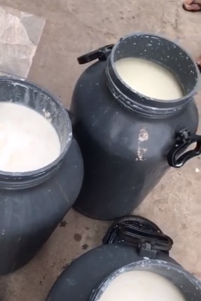 Por falta de energia, empresa de “cremosinho”perde mais de 400 litros de leite em Campos Belos (GO)