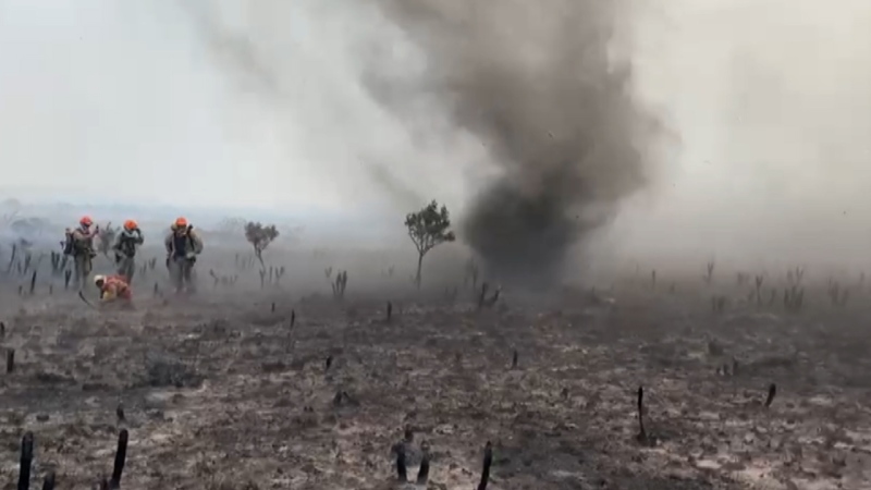 Linha de 8Km de fogo avança pela Chapada dos Veadeiros, redemoinhos se formam e brigadistas correm riscos