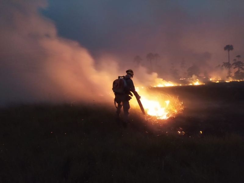 Incêndio já destruiu cerca de sete mil hectares do Parque Estadual Terra Ronca, em São Domingos (GO)