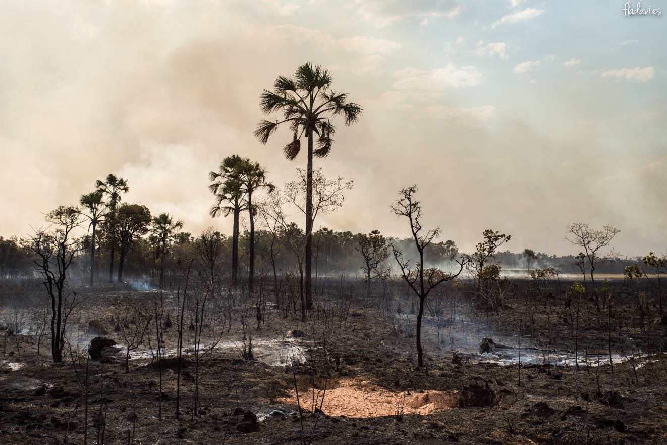 Incêndio destrutivo e incontrolável na Chapada dos Veadeiros entra no sexto dia