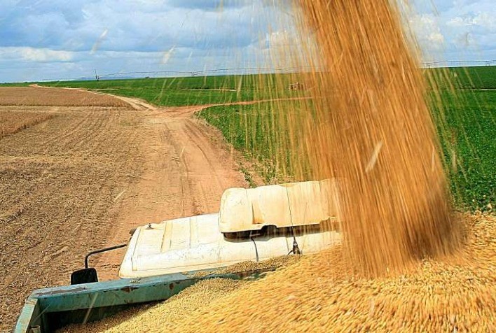 Levantamento da Conab indica um volume de produção de 288,61 milhões de toneladas de grãos na safra 2021/22