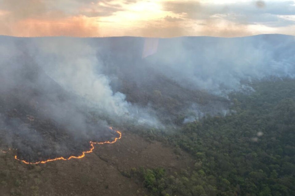 Destruição na Chapada dos Veadeiros é igual a 30% do desmatamento da região nos últimos 10 anos