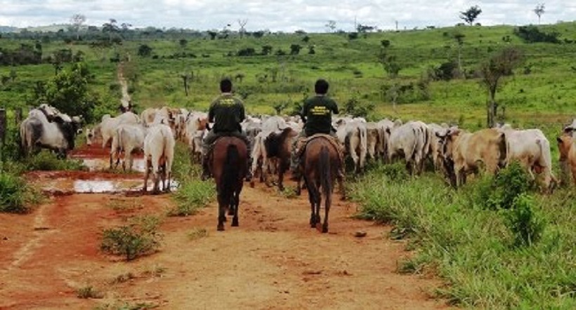 Tribunal de Justiça de Goiás suspende, liminarmente, leilão de imóvel rural de Campos Belos (GO)