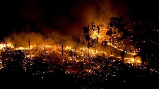 O cerrado foi o bioma mais devastado por queimadas de 2000 a 2019, aponta pesquisa