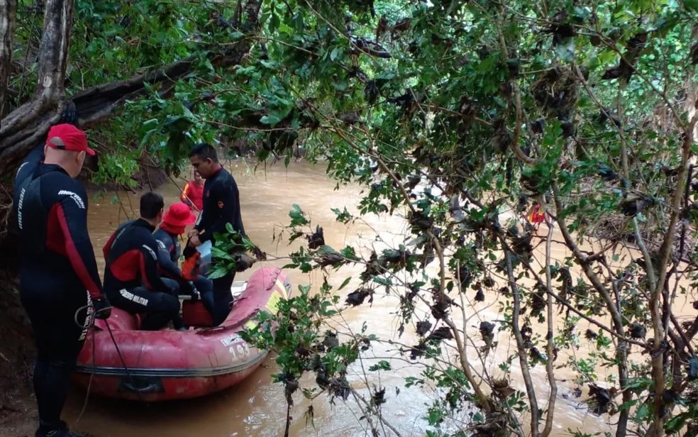 Bombeiros procuram por criança que desapareceu em riacho, em Guarani de Goiás
