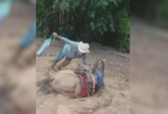 Em Cavalcante (GO), cavalo é resgatado após afundar em atoleiro; vídeo