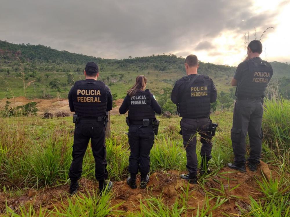 Polícia Federal deflagra operação contra desmatamento ilegal com extração de madeira em terra indígena 