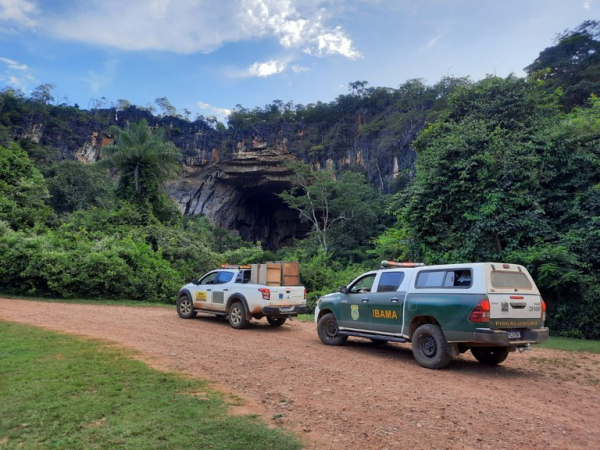 Ibama devolve à natureza 12 araras no Parque Estadual de Terra Ronca