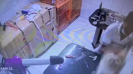 STJ mantém prisão de empregado de pet shop que enforcou cachorro; imagens fortes