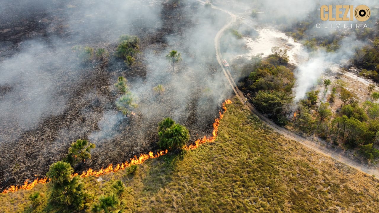 Grande incêndio florestal atinge município de São Domingos (GO); há necessidade de mais equipes contra fogo