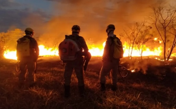 Oito cidades do nordeste de Goiás estão em situação de emergência por causa de incêndios