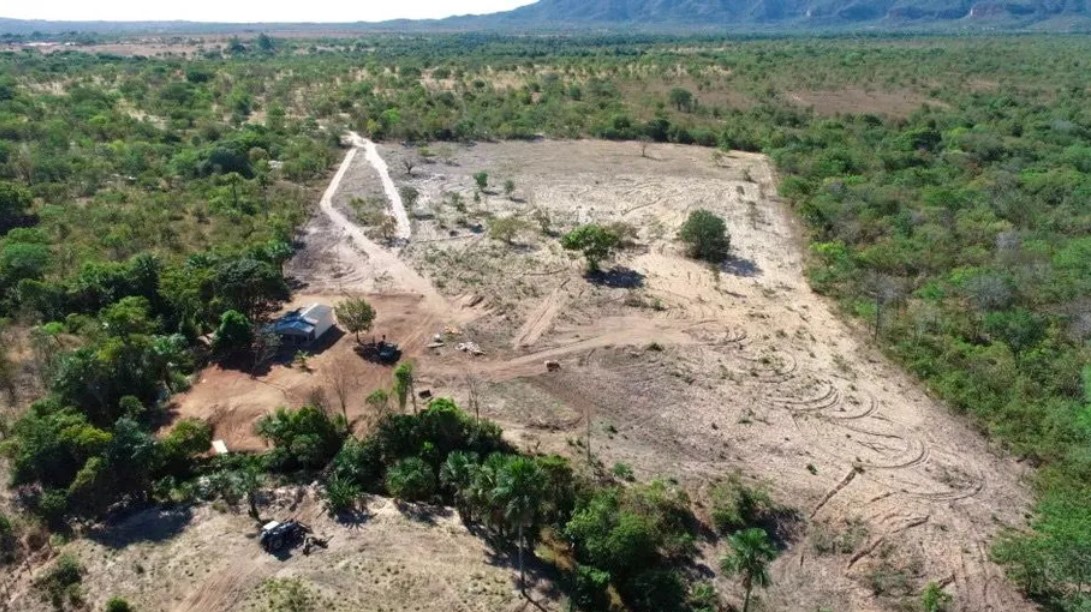 Polícia Militar Ambiental autua homem em R$ 2 milhões por desmatamento ilegal em Taguatinga (TO)