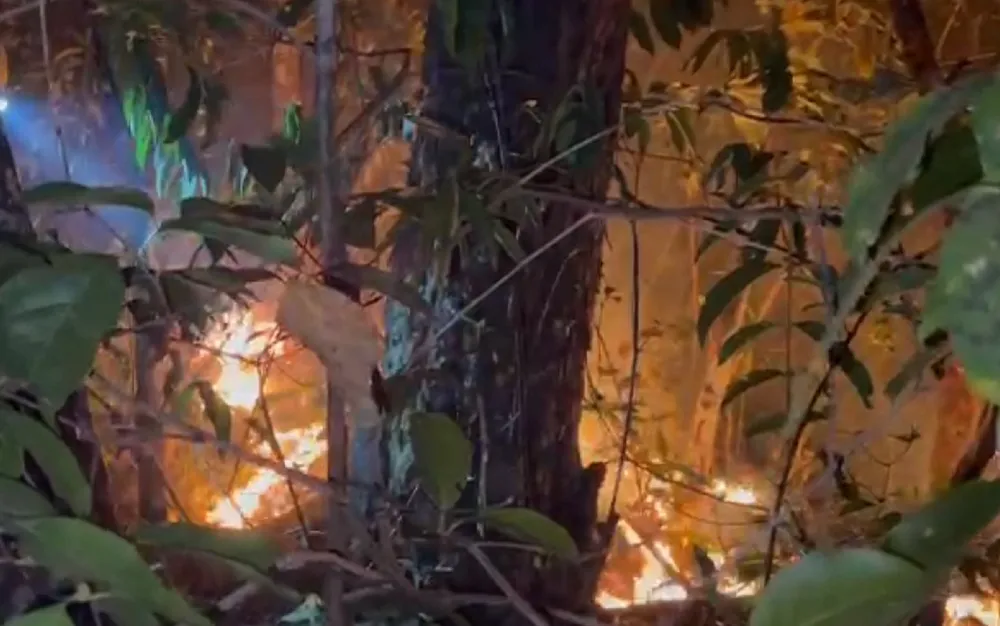 Após três dias, incêndio em mata de Cavalcante (GO) é apagado