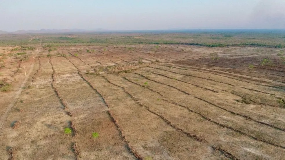 Em Paranã (TO), fazendeiro é autuado em R$ 236 mil por desmatar área ilegal