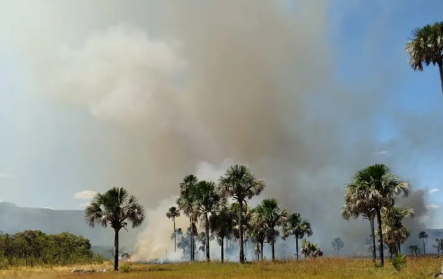 Parque Estadual de Terra Ronca tem área equivalente a 154 hectares atingida por incêndio