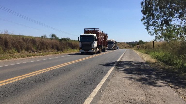 Rodovias estaduais de Goiás já estão liberadas, diz Governo