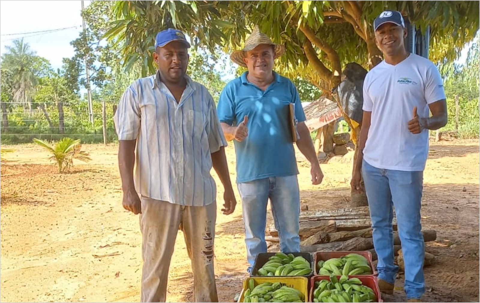Produtor de Ponte Alta do Bom Jesus (TO) comemora colheita de banana e maracujá