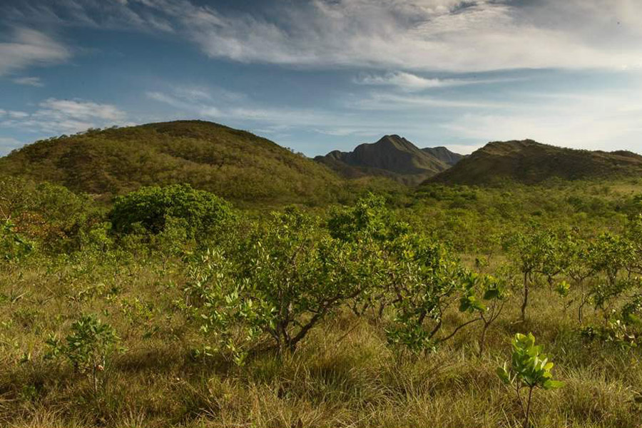 Fapeg divulga resultado do edital para conservação da Reserva Legado Verdes do Cerrado