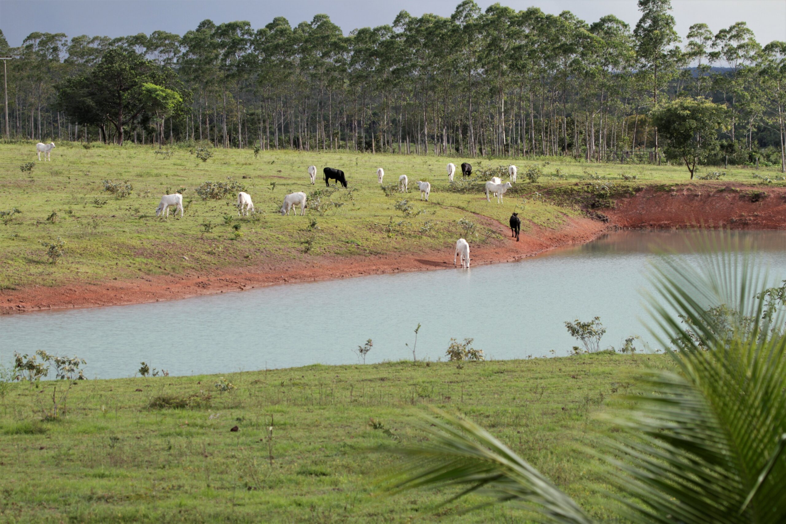 Cadastro ambiental rural no Tocantins vai ganhar agilidade na certificação
