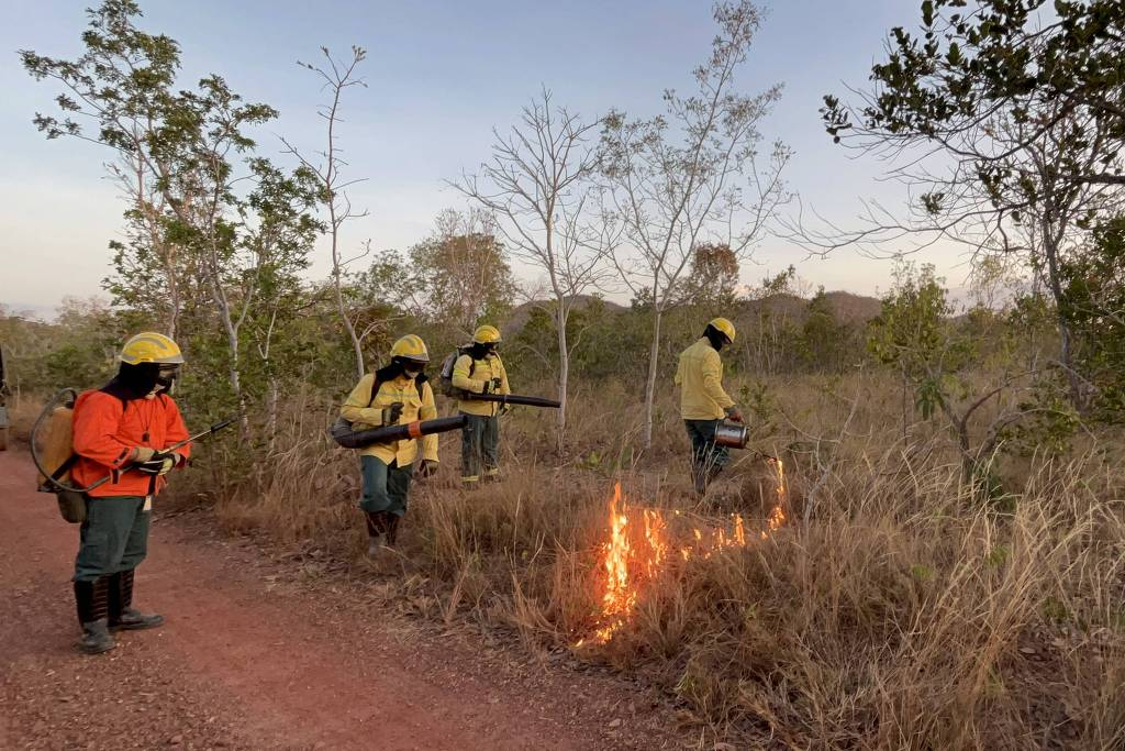 Uso criterioso do fogo no cerrado pode ajudar a prevenir grandes incêndios, na Serra do Tombador, em Cavalcante (GO)