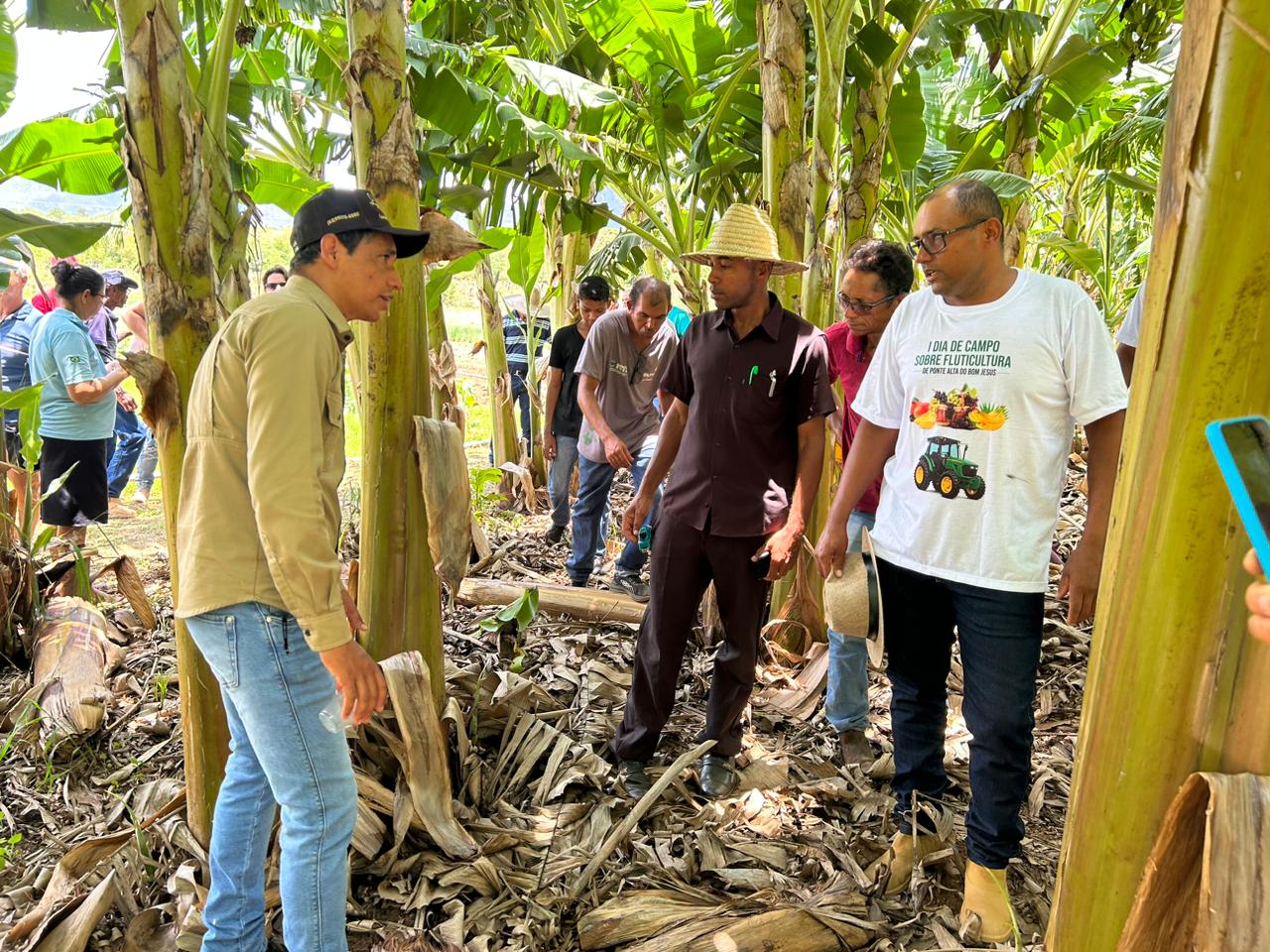 Ruraltins e parceiros promovem Dia de Campo sobre o cultivo de banana irrigada em Ponte Alta do Bom Jesus (TO)