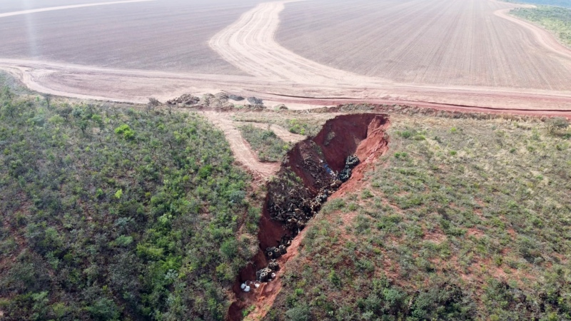 Ibama já multou em R$ 4,1 milhões e embargou 826,2 hectares por danos ambientais nas Serras Gerais