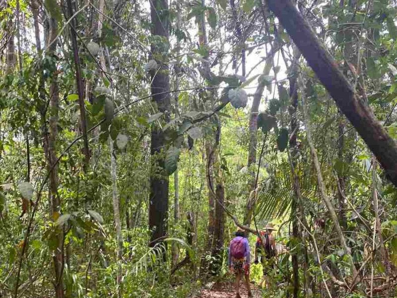 Projetos conciliam turismo com preservação do meio ambiente, em Cavalcante (GO)