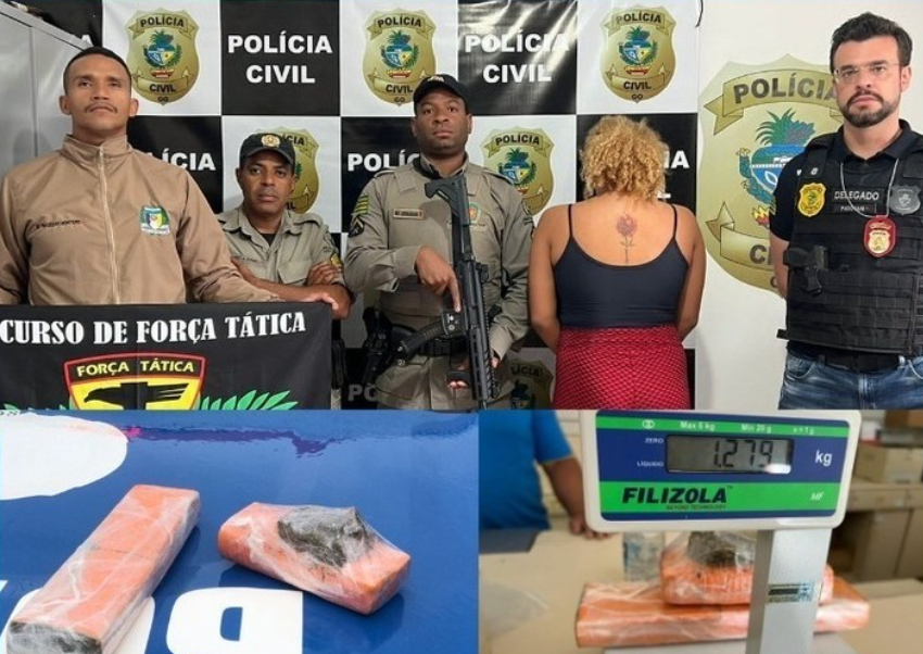 PM prende, em Teresina de Goiás (GO), mulher que traficava dois quilos de maconha dentro de ônibus interestadual