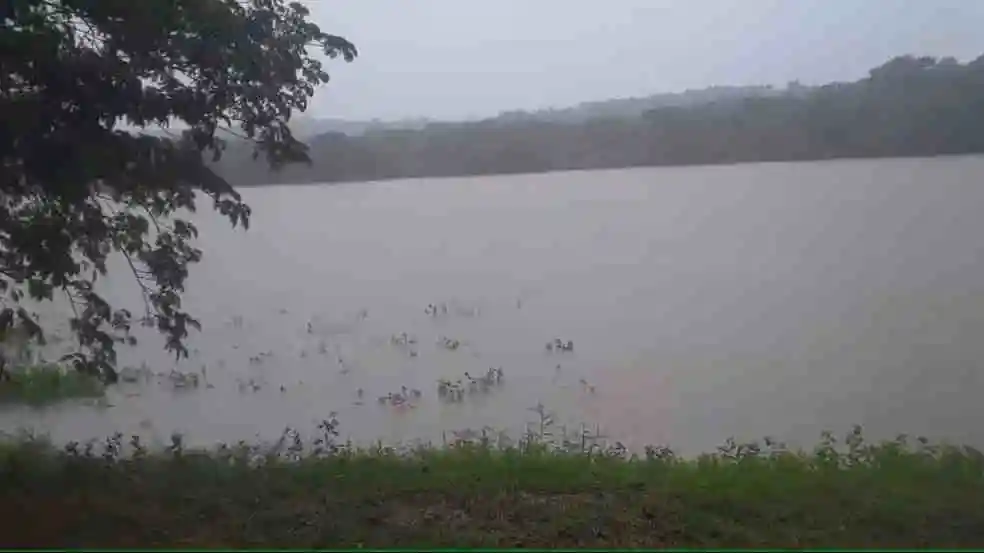 Chuva faz níveis de rios subirem e Defesa Civil faz alerta a ribeirinhos em Paranã (TO)
