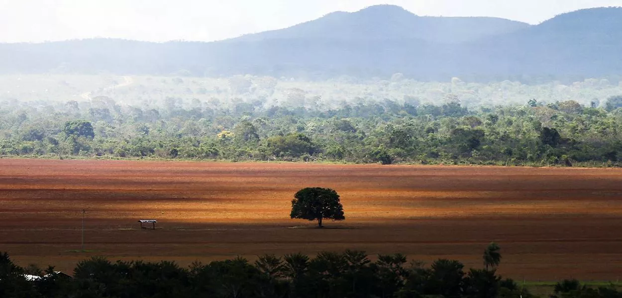 Marina diz que lei que permite uso de 80% do Cerrado é ‘incompatível com a lei da natureza’