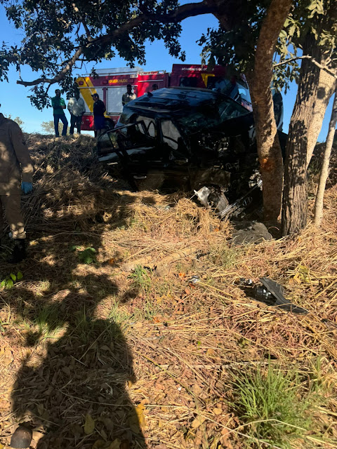 Carro bate em árvore na GO-118 e deixa 3 mortos, próximo a Campos Belos (GO)