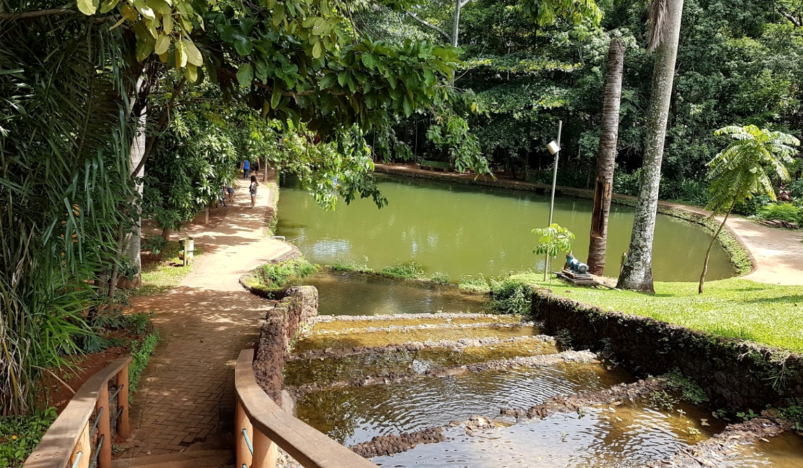 Bosque dos Buritis é o destino do projeto pedagógico da Escola “Cantinho Da Emília´´