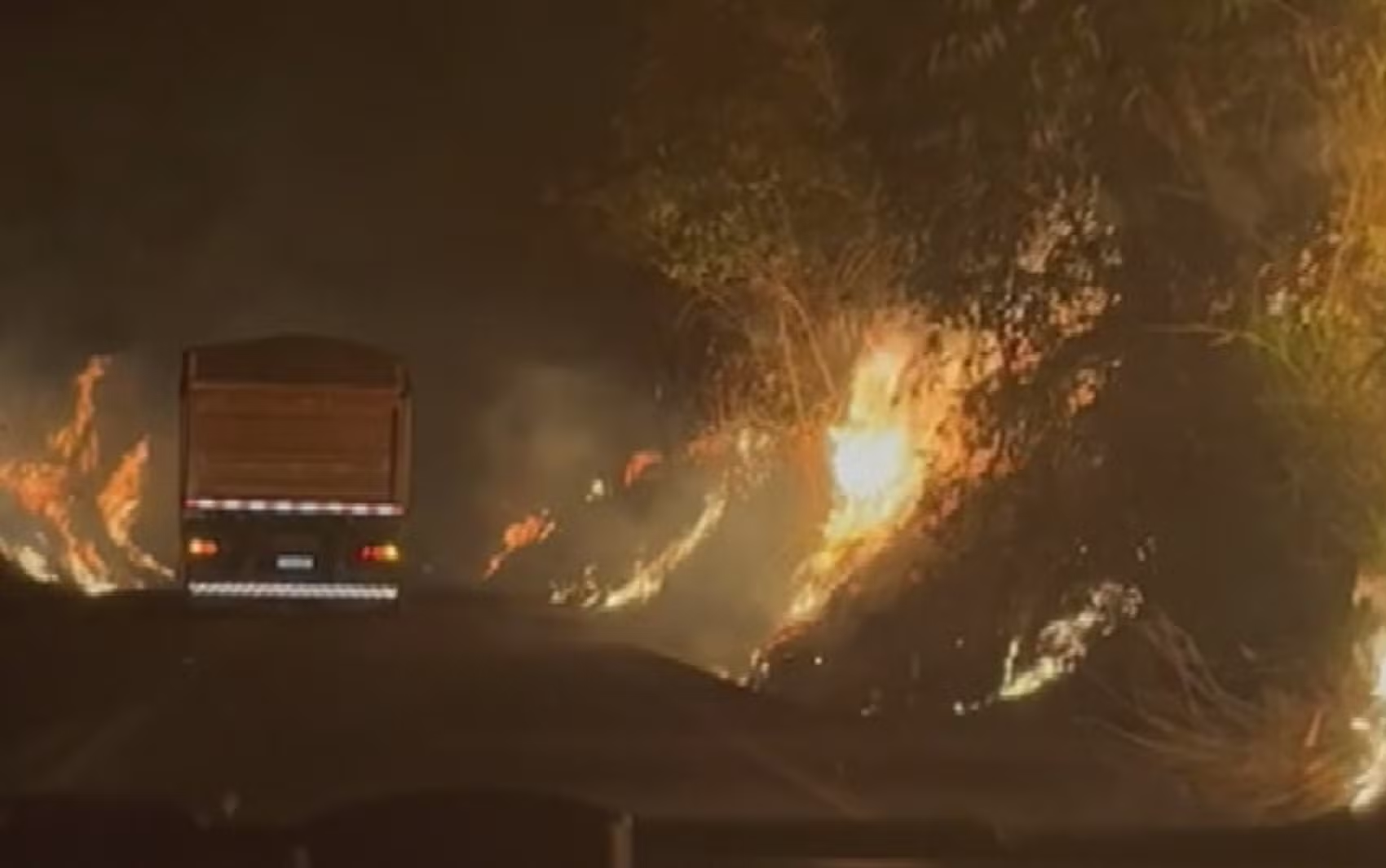 Caiado defende direito dos Estados de agirem contra incêndios criminosos